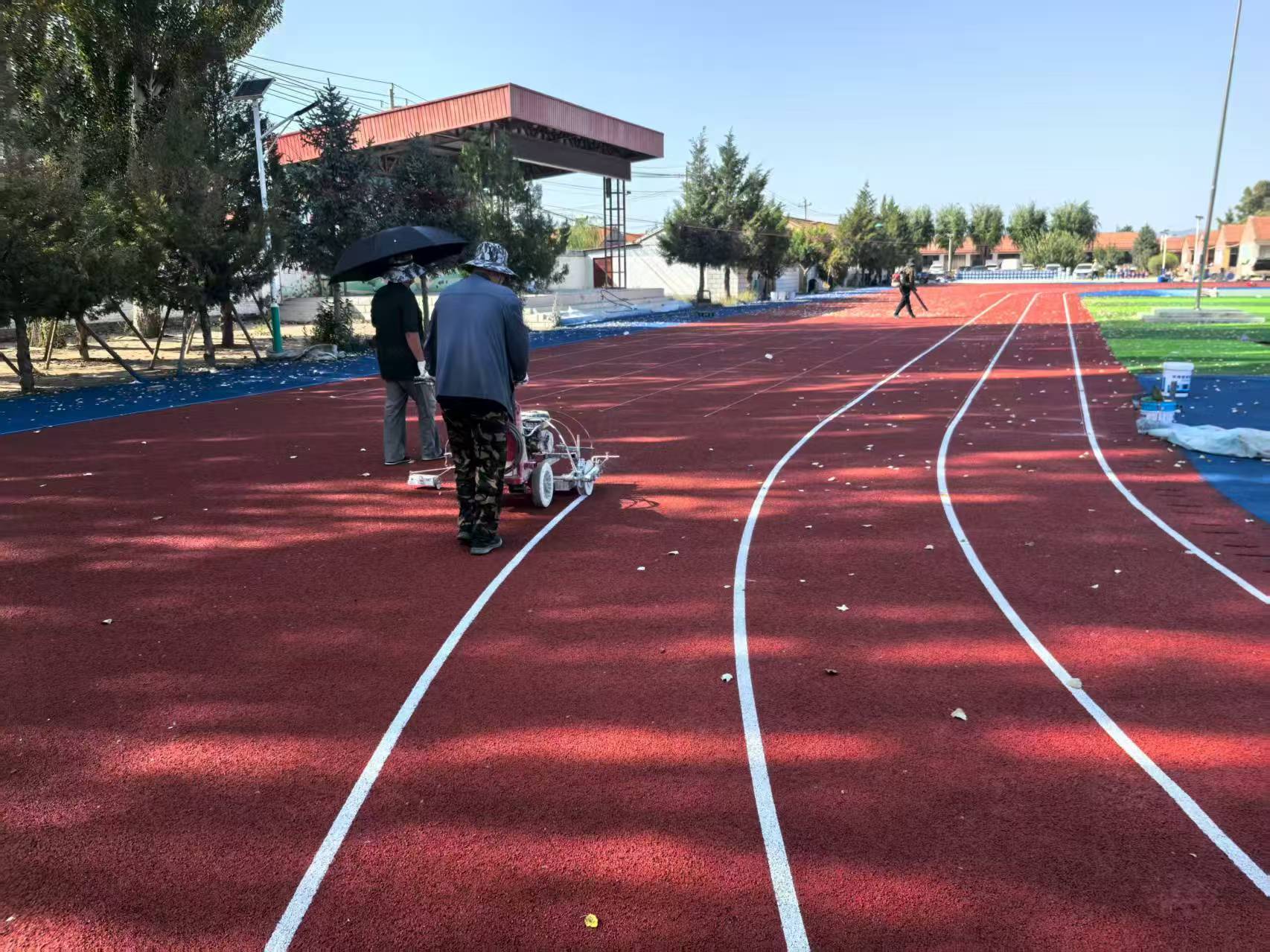 肇庆市EPDM塑胶跑道全塑型塑胶跑道 - 厂家